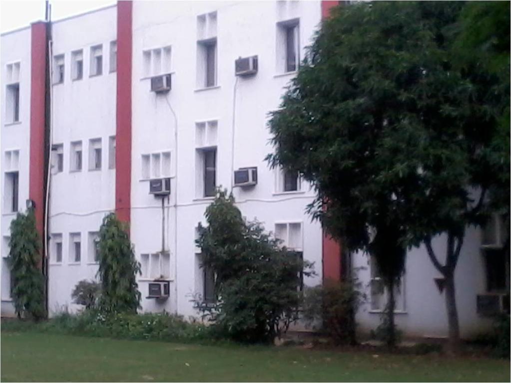 Blue Triangle Family New Delhi
